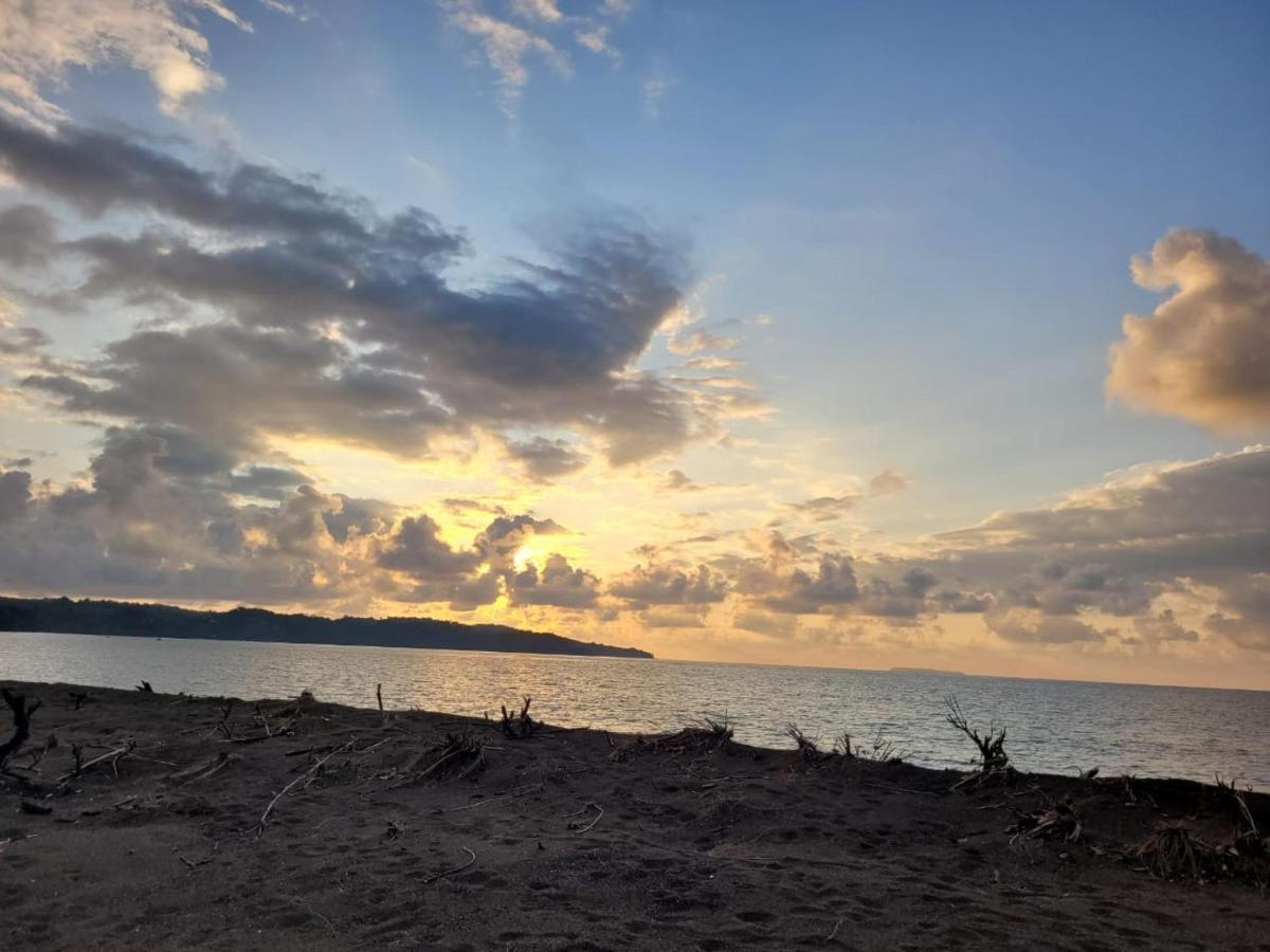 Drakes Bay Osa Corcovado Lodge المظهر الخارجي الصورة