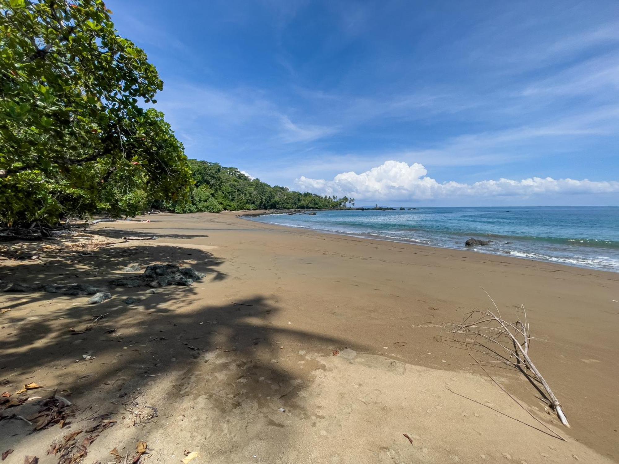 Drakes Bay Osa Corcovado Lodge المظهر الخارجي الصورة